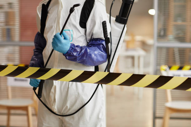 Professional Sewage Cleanup technician working in San Martin, CA